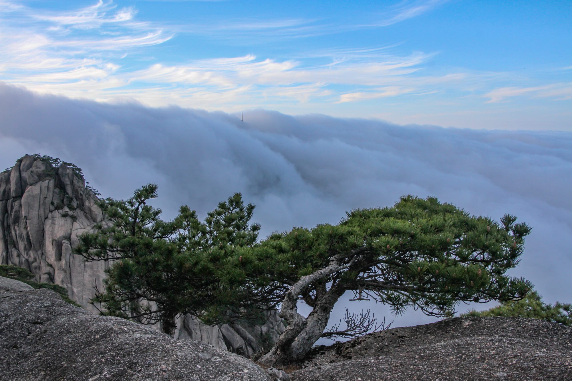 Mountain ridges and pine trees above morning clouds in Huangshan